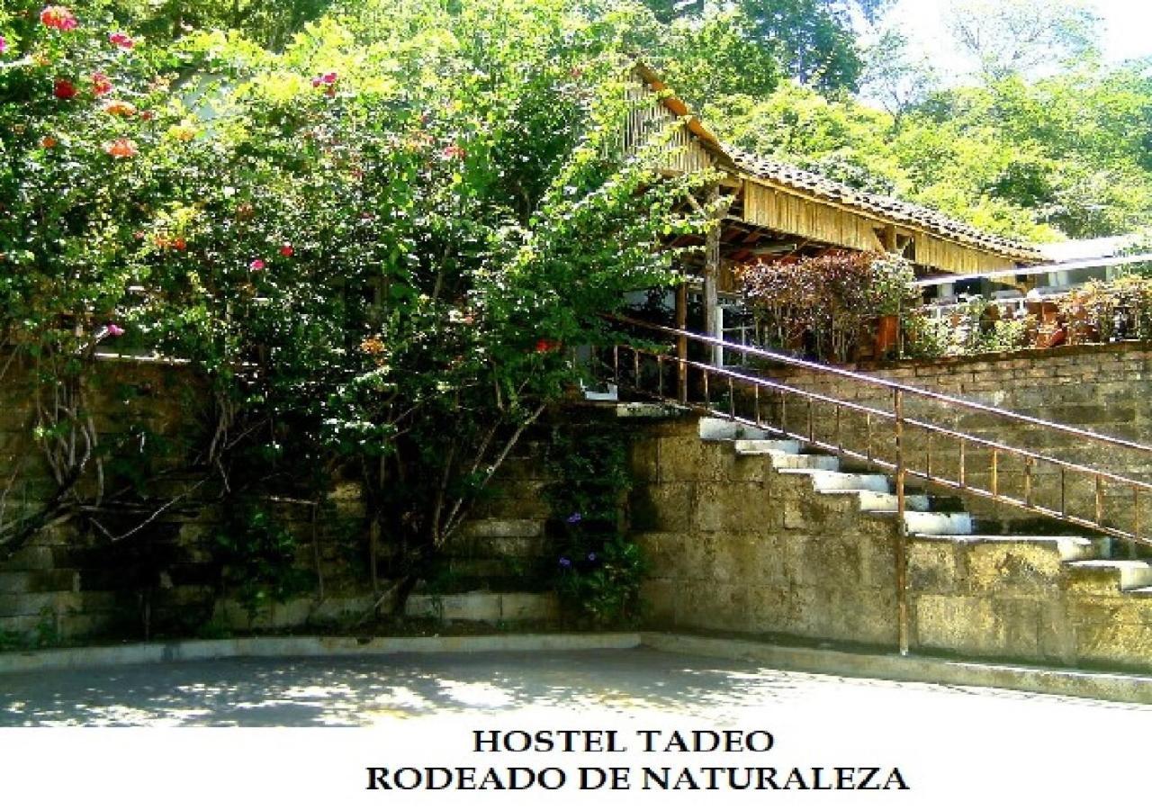 Hostel Tadeo סן חואן דל סור מראה חיצוני תמונה